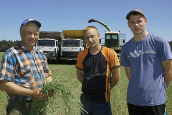 В Жабинковском районе засуха затронула практически все сельхозпредприятия