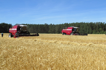 Для уборки зерновых при условии четкой организации работ Минской области потребуется 21 день