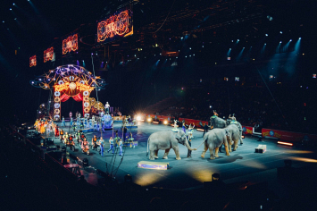 Две тонны циркового реквизита привезли на «Славянский базар» китайские артисты