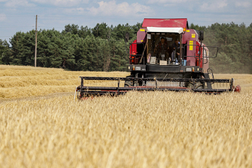 Зерновые и зернобобовые в стране обмолочены на 4,7 процента посевной площади. На этой неделе начнется их массовая уборка