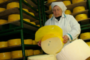 Добавить сыру плесени и стоимости