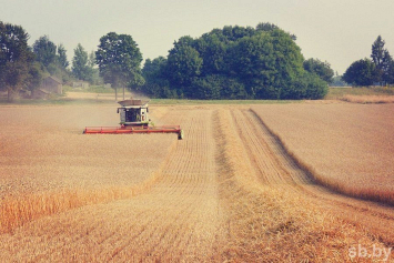 В сельхозпредприятиях намолотили более 1,5 миллиона тонн зерна