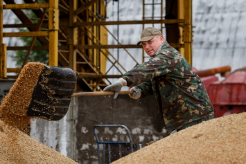 С начала уборочной на КЗС агрокомбината «Южный» Гомельской области высушено 700 тонн рапса и около 900 тонн зерна