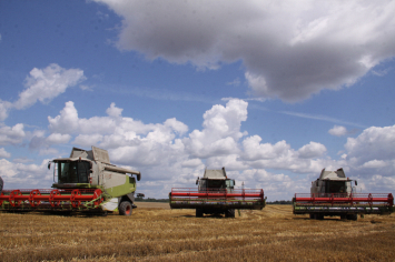 В сельхозпредприятии «Демброво» Щучинского района урожайность зерновых культур на треть выше, чем в 2018 году 