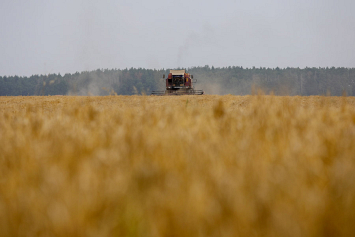 Лукашенко: надо стремиться к сбору 9,5 млн тонн зерна