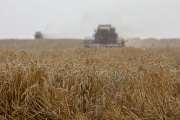 Брестчина первой в стране намолотила миллион тонн зерна
