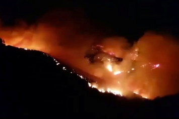 На Канарах из-за пожаров эвакуировали более тысячи человек