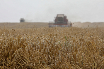 В Беларуси намолотили более 5,5 миллиона тонн зерна