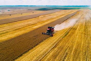 В Беларуси намолотили более 5,7 млн тонн зерна