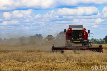 Минская область на 100 процентов выполнила госзаказ по уборке зерновых