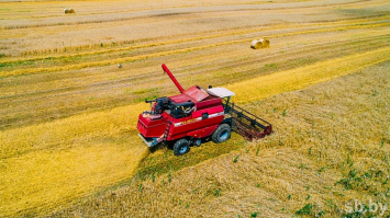 В Минской области убрано 99% площадей зерновых и зернобобовых культур