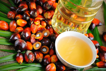 Объемы использования пальмового масла растут