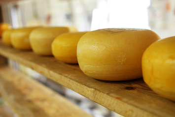 В Беларуси намерены приблизить экспорт сыров к $ 1 млрд в 2020 году