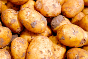 Товарный картофель: украинский вектор 