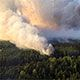 Институт радиобиологии НАН: пожары в зоне отчуждения не опасны для здоровья белорусов