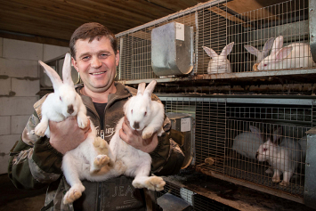 Два года назад Андрей Шалабодов подался в фермерство и стал специалистом в кроликоведении