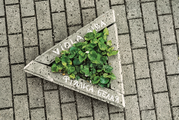 Зачем в Минске подписывают растения на улицах?