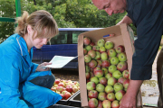 Насколько эффективно организованы закупки у населения картофеля и яблок?