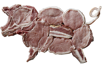 Ощутима ли выгода от покупки свинины живым весом?
