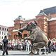 В Могилеве на празднике города выступили слоны