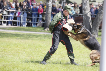 Кинологический центр Вооруженных Сил показал в парке Победы самые опасные трюки со служебными собаками