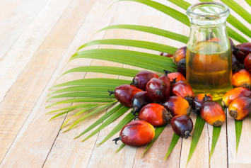 Эксперты рассказали, так ли страшно пальмовое масло, как о нем говорят 