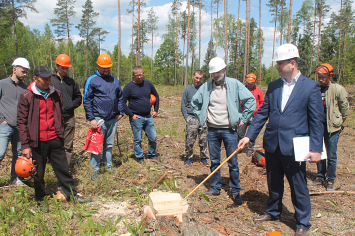 Лицензирование, квалификация, средства индивидуальной защиты — как защитить от травм специалистов во время лесозаготовки