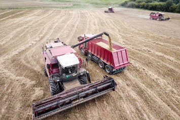 Хлеборобы Беларуси намолотили более 5,9 млн тонн зерна