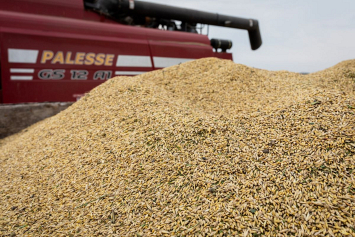  В Беларуси намолочено более шести миллионов тонн зерна 