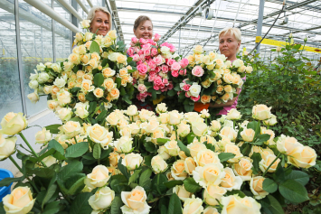 К 1 сентября в страну привезли более 3 миллионов цветов: узнали секреты выращивания роз, с каким букетом лучше идти на линейку и как растения проверяют на безопасность