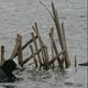 В Гродненской области за сутки утонули 3 человека