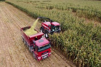 Как идет уборка кукурузы в Витебской области
