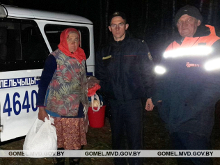 В Лельчицком районе милиционеры вывели из лесу заблудившуюся сборщицу клюквы
