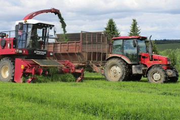 Верхнедвинский район завершил уборку кукурузы одним из первых в Витебской области