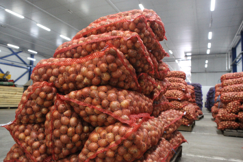 Экспорт белорусской сельхозпродукции в Казахстан в январе – сентябре вырос на 7,1%