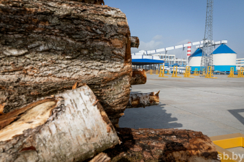 В 2021 году предприятия концерна «Беллесбумпром» переработают около 7 млн кубометров древесины
