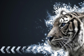 Он творец и разрушитель, могучий и бесстрашный, благородный и независимый: каким будет год Тигра