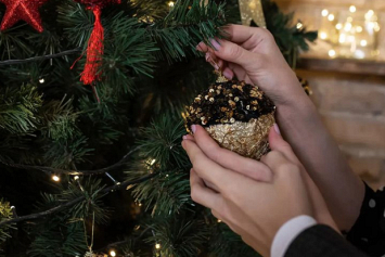 Нарядные домашние питомцы, огоньки и праздничные блюда: новогодняя подборка из Instagram белорусов