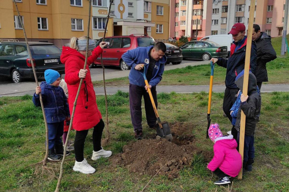 Дворы культуры и отдыха