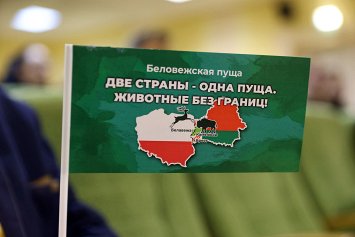 В МИД Беларуси призвали Польшу снести стену, которая негативно влияет на экосистему и весь европейский регион