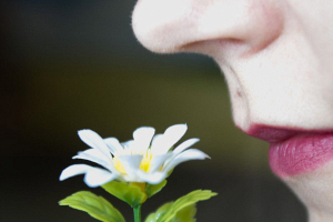 Как ароматы влияют на наши эмоции?