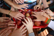 «Белорусские яблоки просятся в сети»