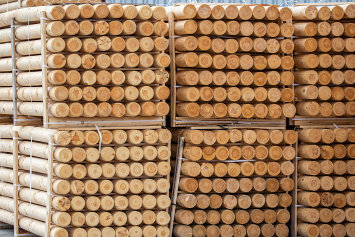 Минлесхоз: благодаря новым правилам реализации древесины в несколько раз сократится время покупки ее физлицами