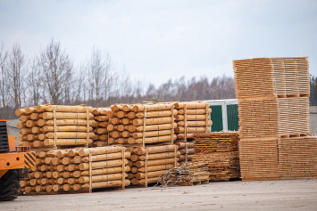 Новые правила реализации древесины требуют от граждан обязательного целевого использования лесоматериалов 