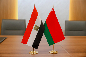 Беларусь и Египет обсудили состояние сотрудничества в области здравоохранения и медицинской науки