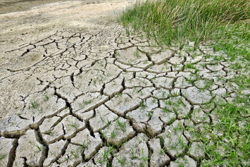Эксперт высказался о последствиях засухи в Европе