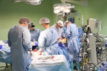 Две болезни — одна операция: врачи спасли 86‑летнюю пациентку от опухоли желудка и тяжелой сердечной патологии