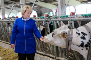 Продуктивность дойного стада превысит 13 тысяч килограммов