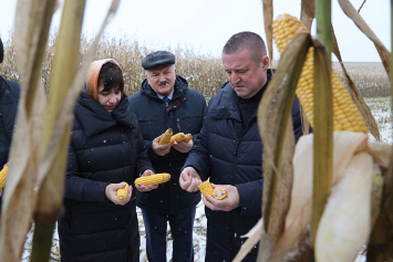 Заяц ознакомился с ходом уборки кукурузы в ЗАО «Агрокомбинат «Заря» Могилевского района