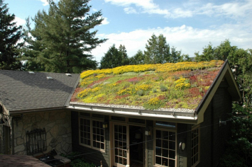 Как превратить крышу в прекрасное и уютное место для отдыха: советы садовода
